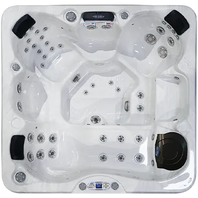 Avalon EC-849L hot tubs for sale in Camden