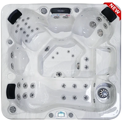 Avalon-X EC-849LX hot tubs for sale in Camden